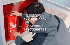 <b>形成了多条理、互补性的市场办事梯队</b>