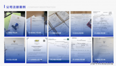 成功帮帮其搭建合规架构、优化税负成本、化解